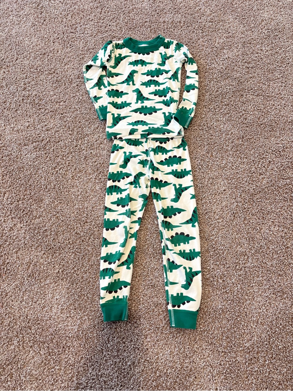 Hanna Andersson Green Dinosaur Print Pajama Set
